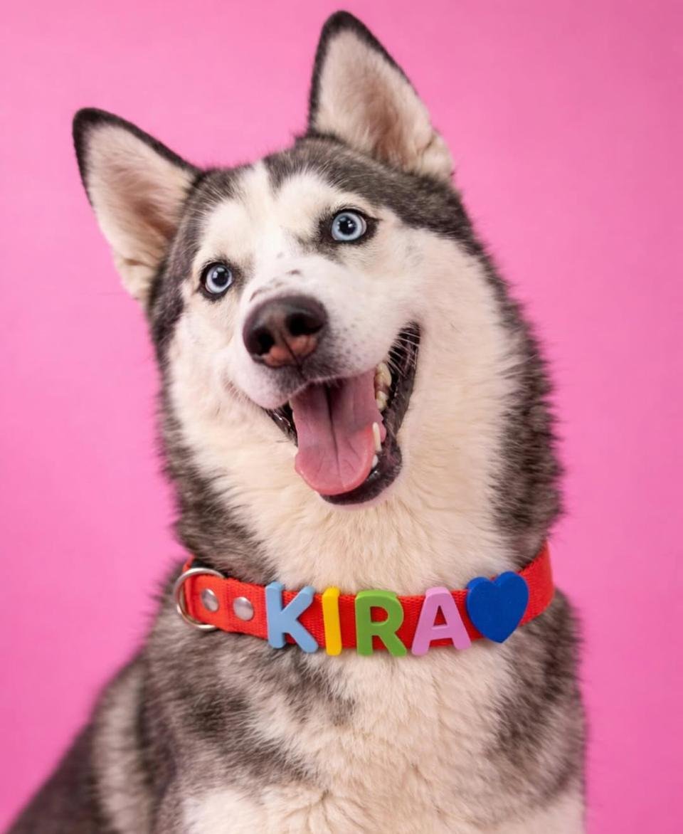 Letras personalizadas para collares de mascotas producidas en serie para Tikkiguau